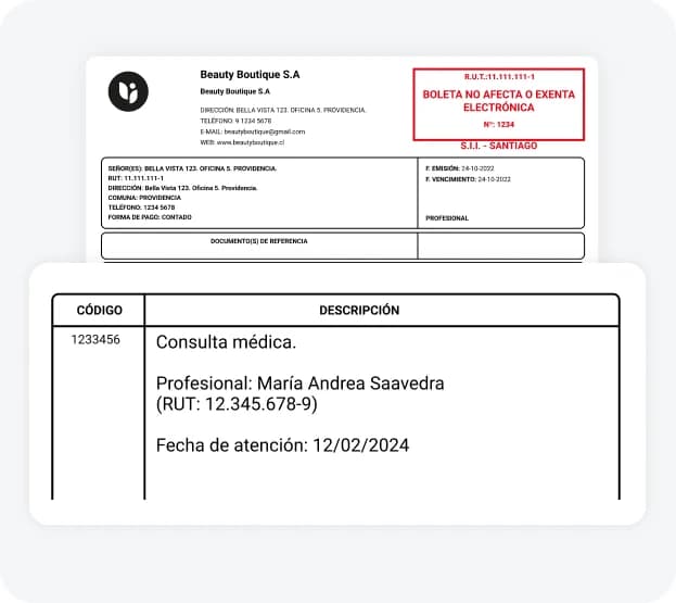 Programa facturación electrónica